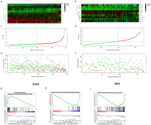 Figure 4. The expression of the 9 model genes, the riskscore distribution and survival status of patients in the training dataset and testing dataset