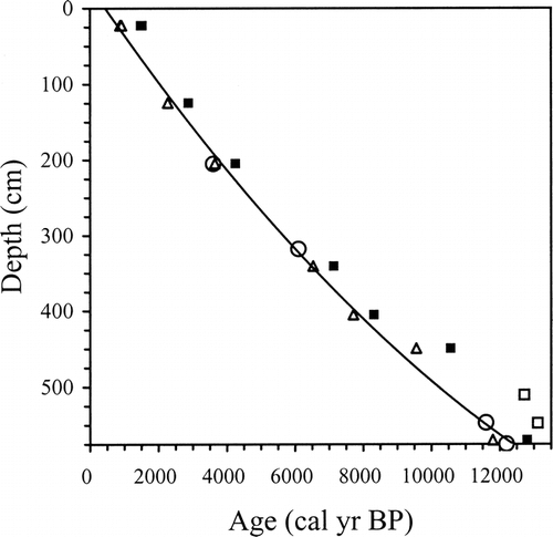 FIGURE 3. Chronology for core LS-A. Calibrated radiocarbon ages are shown as solid black squares; open squares are rejected ages; triangles represent adjusted radiocarbon ages (described in the text). The black line is our age model, a second-order polynomial trend through the adjusted ages. Note the agreement between the age model and independent chronological evidence (shown as open circles representing known tephra ages and one pollen correlation at 547 cm depth). Radiocarbon data are provided in Table 1