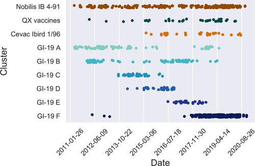 Figure 4. Succession of sequence clusters. Appearance of clusters of similar sequences in broiler chickens in time. The upper three clusters are known vaccines, the lower six are non-vaccine clusters. Note the succession in time of the latter. QX vaccines collects sequences similar to Nobilis IB Primo QX and Poulvac IB QX. Nobilis IB 4-91 was already marketed prior to 2010, Poulvac IB QX was introduced around 2010-2011, Nobilis IB Primo QX and Cevac Ibird (1/96) vaccine were first introduced around 2013-2014.