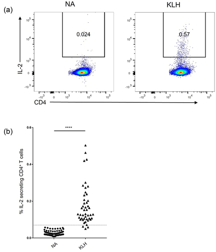 Figure 1. Induction of IL-2-secreting CD4+ T cells by KLH on Day3. (a) Representative flow cytometry plots of the IL-2 secretion on CD4+ cells. (b) Frequency of IL-2-secreting cells among CD4+ T cells (NA; n = 87, KLH; n = 46) **** p < 0.0001 (Student’s t test).