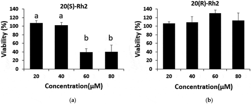 Figure 3. Effect of the treatments 20 (S)-Rh2 (a) and 20 (R)-Rh2 (b) on the viability of HT-29. The viability of the HT-29 cells was assessed by the MTT assay at various concentrations of each molecule 72 hours after the treatment. Treatments with different letters (where a > b) are significantly different at p < 0.05. The data are expressed as the mean ± SD.Figura 3. Efecto de los tratamientos 20 (S)-Rh2 (a) y 20 (R)-Rh2 (b) sobre la viabilidad de HT-29. La viabilidad de las células HT-29 se valoró mediante el ensayo MTT a diversas concentraciones de cada molécula 72 horas después del tratamiento. Los tratamientos con letras diferentes (donde a > b) son significativamente diferentes en p < 0.05. Los datos se expresan como la media ± DE.