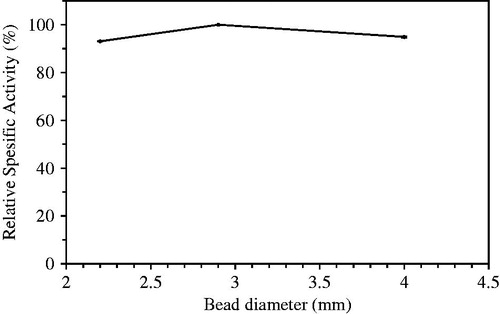 Figure 6. Optimization of bead size prepared in lipase immobilization.