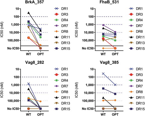 Figure 2. Measured IC50 of the candidate T regulatory peptides and their detolerized variants across HLA-DR alleles. Each line connects the IC50 measured for the wild-type (WT) and detolerized (optimized, OPT) sequences for HLA-DR1, HLA-DR3, HLA-DR4, HLA-DR7, HLA-DR8, HLA-DR11, HLA-DR13, and HLA-DR15. Binding affinity categories: very high affinity, IC50 ≤ 100 nM, high affinity, 100 nM < IC50 ≤ 1,000 nM, moderate affinity, 1,000 nM < IC50 ≤ 10,000 nM, low affinity, 10,000 nM < IC50 ≤ 100,000 nM, negligible affinity, 100,000 nM < IC50. Peptides with no dose-dependent response (no IC50) are considered non-binders.