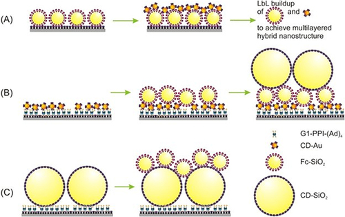 Figure 10 Schematic representation of the multicomponent nanostructures construction using (A) CD-Au and Fc-SiO; (B) The nano-assembly from small NPs to large NPs; and (C) nano-assembly from large NPs to small NPs. The artwork was reproduced from MDPI according to permission via license: CC BY 4.0.Citation251