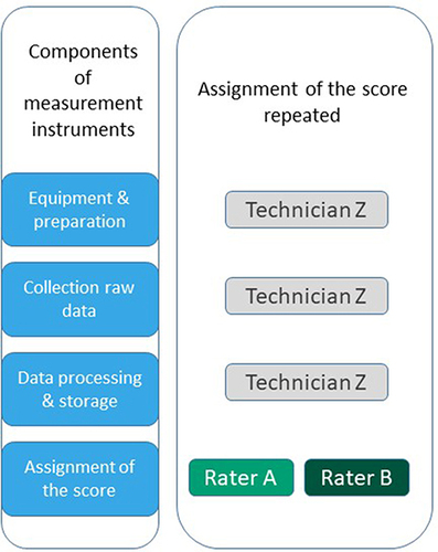Figure 2 Inter-rater design of the assessment of reliability or measurement error of the assignment of the score.