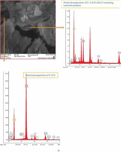 Figure 13. SEM micrographs accompanied by EDX analysis of pastes after being immersed in 5% HCl solution for 28 days. a) the reference paste, b) the paste containing 30% Micro-NP, c) the paste containing 3% Nano-NP