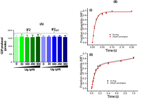 Figure 5. (A) In vitro GTPase activity of IF2WT and IF2Δ17 in the presence of increasing amount of Ltg. (B). Time course of f[3 H] Met-Phe dipeptide formation in quench-flow starting with (i) preformed 70S IC (ii) 30S pre-IC, in the presence (red circles) and in absence (black squares) of Ltg (200 µM).