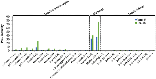 Fig. 4. 2D-NMR analysis of the solid fractions obtained after pretreatment of two sorghum varieties, bmr-6 (blue) and Icr-38 (green). The peak intensities of the lignin components are shown. Chemical shifts and references for the assignments are shown in Supplementary Table 1.