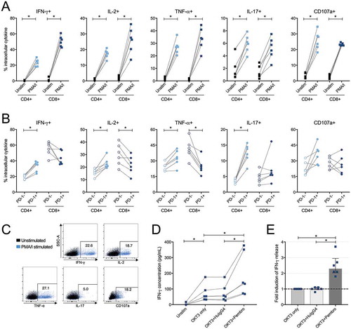 Figure 8. Intracellular cytokine production in CD4+ and CD8+ tumor-derived T-cells upon stimulation with phorbol 12-myristate 13-acetate/ionomycin (PMA/I) and release of IFN-γ after stimulation with anti-CD3 and PD-1 blockade. (A) Tumor-infiltrating lymphocytes isolated from tumor tissue from six ovarian cancer patients were assessed at two conditions; unstimulated (unstim) and stimulated with PMA/I for 6 hours. Intracellular cytokine staining was performed for IFN-γ, IL-2, TNF-α, IL-17 and CD107a on total CD4+ or CD8+ T-cells to assess functional capacity ex vivo. (B) Stimulated CD4+ and CD8+ T-cells were divided based on being PD-1- or PD-1+ and the production of the different analytes was thereafter analyzed. (C) Representative plots from intracellular cytokine staining on total CD4+ T-cells stimulated with PMA/I for 6 hours from patient 33. (D) Tumor-derived T-cells (n = 6) were stimulated with anti-CD3 (OKT3) and PD-1-blocking antibody pembrolizumab (pembro) or negative control (human IgG4, HuIgG4) for 48 hours. The release of IFN-γ was analyzed in the supernatants by ELISA. The data has been normalized to reflect the same number of T-cells and the concentration refers to per 500,000 T-cells. Dashed lines connects the same patient. (E) Fold increase of released IFN-γ by addition of PD-1 blocking antibody (pembro) or negative control (HuIgG4) relative to when adding only anti-CD3. Significant differences were obtained by Wilcoxon signed rank test and significance levels were set to p < 0.05 (*), p < 0.01 (**), and p < 0.001 (***).