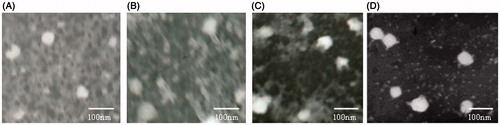 Figure 5. TEM images of PTX-loaded F127–PAA/NaC micelles at pH 1.2 (A) and pH 6.8 (B); PTX-loaded F127–CS/NaC micelles at pH 1.2 (C) and pH 6.8 (D).