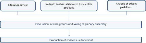 Figure 1 Elaboration process of the consensus document.