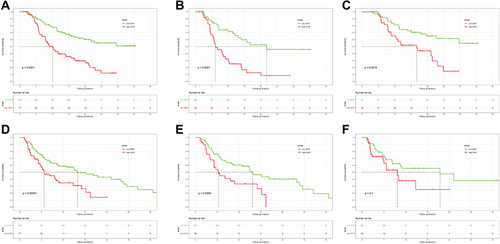 Figure 2 Kaplan–Meier curves for OS and PFS in HCC patients with high and low baseline serum VEGF. OS curves in (A) all-patient, (B) the TACE group, and (C) the TACE-Sorafenib group. PFS curves in (D) all-patient, (E) the TACE-Sorafenib group, and (F) the TACE group.