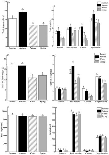 Figure 2. Seasonal variations of the fresh weight, net fresh weight and length in the GI tract in ground squirrel. Groups with different letters in each cluster are significantly different (p < 0.05).