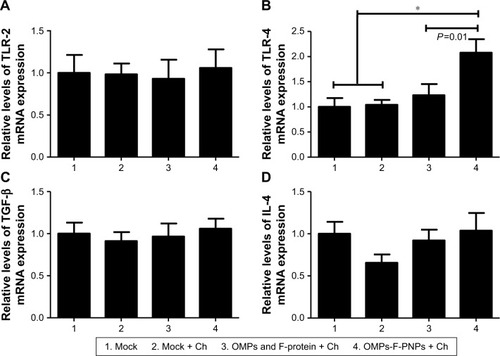 Figure 7 Expression of TLRs and cytokines mRNA in the cecal tonsils of OMPs-F-PNPs orally inoculated and Salmonella-challenged chickens.Notes: The relative mRNA expression levels of (A) TLR-2, (B) TLR-4, (C) TGF-β, and (D) IL-4. Each bar is the mean ± SEM of 7–10 chickens, and the data were analyzed by nonparametric Kruskal–Wallis test followed by P-value differences in between the groups determined by Mann–Whitney test. Asterisk refers to statistical difference between two indicated groups (*P<0.05). OMPs-F-PNPs, OMPs and F-protein-entrapped and surface F-protein-coated PNPs.Abbreviations: Ch, challenge; F, flagellar; OMPs, outer membrane proteins; PNPs, polyanhydride nanoparticles; TLRs, toll-like receptors; SEM, standard error of the mean.