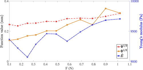 Figure 13. Results solved by the algorithm of Young’s modulus estimation with different magnitudes of force.