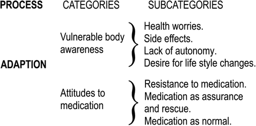Figure 1. Overview of process, categories, and subcategories.