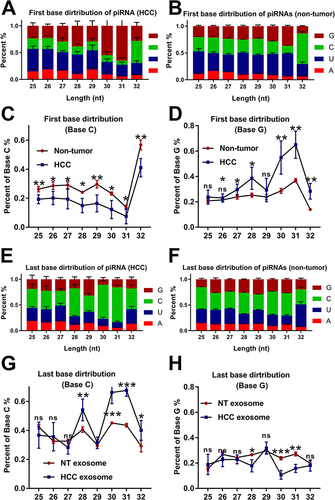 Figure 2 The differences in the distribution of the first base and last base of the piRNAs between HCC patients and non-tumour donors. (A–D) The percentage of Base C decreased dramatically, and the percentage of Base G increased significantly in the serum exosome-derived piRNAs from HCC. (E–H) The opposite results were observed when analysing the last base distribution. *, **, and *** were used to represent p value of < 0.05, < 0.01, and < 0.001, respectively.