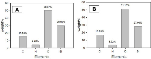 Figure 3 EDX analysis of MS-NH2 (A) and MS-SA (B).