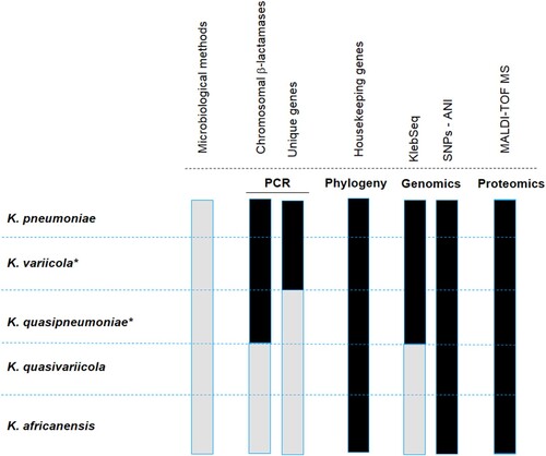 Figure 1. Representation of the available methods that allow differentiating the K. pneumoniae complex. The black colour means that the indicated method distinguishes the species of the K. pneumoniae complex, and the grey colour implies the opposite. Microbiological methods refer to standard biochemical procedures. PCR refers to molecular methods based on the amplification of chromosomal β-lactamases or unique genes assembled in a multiplex PCR, or single PCR such as yggE. The phylogenetic analysis corresponds to the most commonly used gene, rpoB. KlebSeq is a sequencing tool for screening and epidemiological surveillance of the Klebsiella genus. Single nucleotide polymorphisms (SNPs) have been used for the differentiation of some species of the K. pneumoniae complex, but they are definitely feasible for all species of the complex. The average nucleotide identity (ANI) is a genomic tool used for species differentiation and is highly recommended for this purpose. With the recent update of the proteomic profile of the K. pneumoniae complex, it is possible to differentiate the species that constitute the K. pneumoniae complex by using MALDI-TOF. The Bruker reference library version 6.0.0.0 includes the reference spectra for proper identification of K. variicola from K. pneumoniae but not for the rest of the members of the K. pneumoniae complex. The asterisk symbol behind the species name means that the subspecies are included, for instance K. variicola subsp. variicola, K. variicola subsp. tropicalensis, K. quasipneumoniae subsp. quasipneumoniae and K. quasipneumoniae subsp. similipneumoniae.