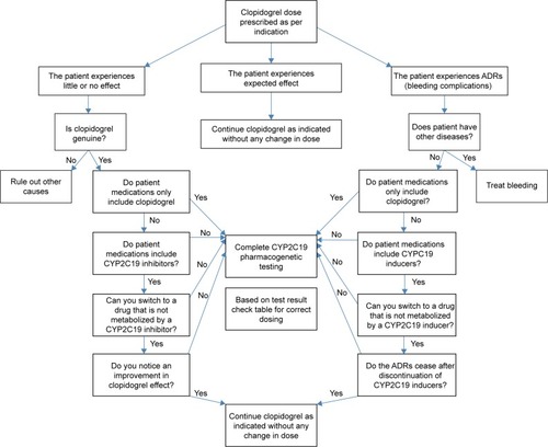Figure 1 Clinical decision model algorithm for pharmacogenetic testing.