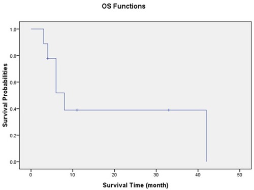 Figure 1 Kaplan–Meier plot of all patients’ overall survival.