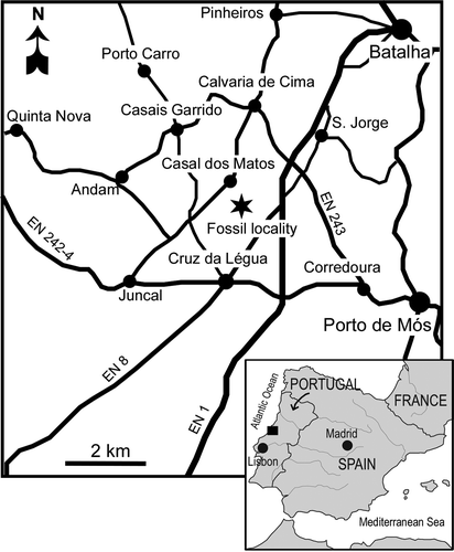Figure 1. Map illustrating the studied area in western Portugal (square). The approximate location of the Vale Farelo clay pit complex where the specimens were collected is indicated by an asterisk.