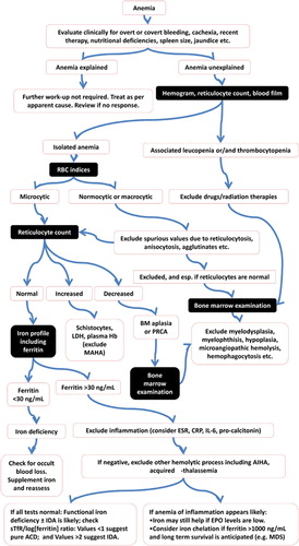 Figure 1. An algorithmic approach to anemia in a cancer patient. [Note: The black boxes highlight key investigations often vital to the differential diagnosis.]