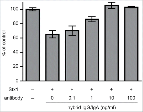 Figure 2. Toxin neutralization by the dimeric hybrid IgG/IgA. Stx1 (5 pg/ml) and varying concentrations (abscissa) of the dimeric hybrid IgG/IgA were incubated for 1 h at 37°C. Each mixture was added to Vero cells (2 × 104), followed by culture for 42 h. Cell viability was determined by an MTT-like assay that measures reducing power of cells with WST-8 as a substrate. The values are relative to that without Stx1 exposure. The bars represent the means ± SD of triplicate determinations.