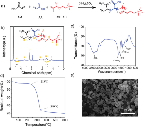 Figure 2. (a) A synthesis route of the amphoteric polyacrylamides (AmPAM). (b) 1H-NMR spectrum, (c) FT-IR spectrum, (d) TGA curve, and (e) SEM image of AmPAM.