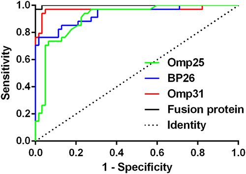 Figure 2 ROC analysis of the fusion protein, Omp31, BP26 and Omp25 in detecting canine brucellosis.
