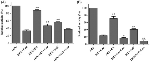 Figure 6. Effects of inorganic compounds on coptisine (Cop)-treated urease. 2.5 mM Cop and 5 mM inorganic compound (BA or NaF) were used. Results are expressed as means ± SD of three replicates. One-way ANOVA revealed significant differences compared with the Cop alone treatment group; *p < 0.05, **p < 0.01.