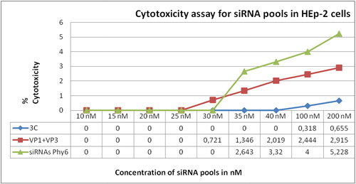 Figure 3. Cytotoxicity assay of siRNA pools for HEp-2 cells.