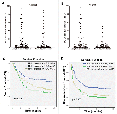 Figure 3. Correlation of PD-L1 expression by HCC cells with the survival benefit from adjuvant CIK cell immunotherapy. Differences in levels of PD-L1 expression between patients showing a long-term versus a minimal survival benefit are shown before (A) and after (B) the propensity score weighting method was used to balance all covariates. C and D depicts the Kaplan–Meier curves for overall survival (OS) and recurrence-free survival (RFS) in the CIK cell treatment group for patients with ≥5%, 1–5% and <1 % PD-L1 expression, respectively.