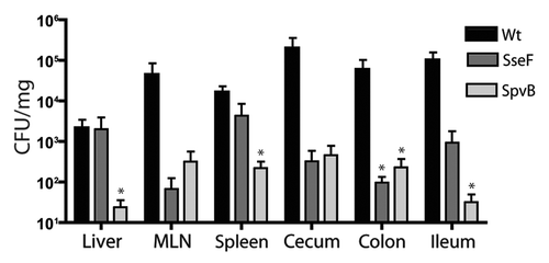 Figure 5 Bacterial count of S. Typhimurium SPI2 mutants recovered from systemic and intestinal organs of C57BL/6 mice 3 d post-infection. Mice were infected via oral gavage. Counts given represent colony forming units per milligram of tissue. Error bars represent standard errors from the means, each group contained 5 mice. Asterisks indicates *p < 0.05. Mesenteric lymph nodes (MLN).