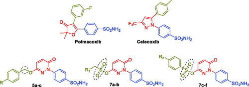 Figure 2. Chemical structures of the dual CA/COX-2 inhibitors Polmacoxib and Celecoxib, as well as the target pyridazinones 5a-c, and 7a-f.