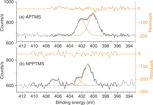 Figure 5. XPS N (1s) spectra of a monolayer of (a) APTMS and (b) NPPTMS on Si/SiO2 taken after 15 minutes of continuous exposure to X-ray irradiation.