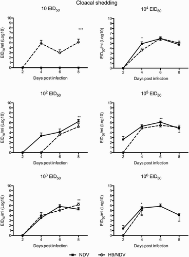 Figure 4. NDV cloacal shedding expressed as EID50/0.1 ml equivalents, after transformation of qRRT-PCR Ct values using a calibration curve. Means and standard deviations are shown for each sampling time. *P < 0.05; **P < 0.005; ***P < 0.0005.