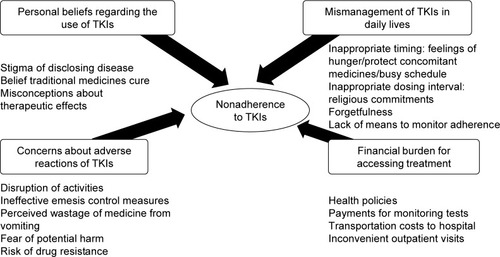 Figure 1 Themes of medication-related issues affecting chronic myeloid leukemia patients’ adherence to tyrosine kinase inhibitors (TKIs).