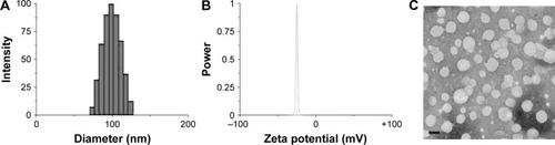 Figure 1 Particle size distribution (A), zeta potential (B), and morphology (C) of LDNLC. Scale bar: 100 nm.Abbreviations: LDNLC, NLC co-delivering Lapa and DOX; DOX, doxorubicin; NLC, nanostructured lipid carrier; Lapa, β-lapachone.