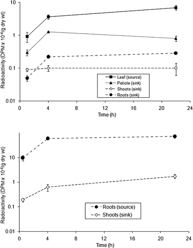 FIGURE 2 Top: Absorption of 14C-MeG through a leaf and redistribution of the 14C-compounds over time into foliage, petiole, shoot, and roots over time (n = 3). Bottom: Absorption of 14C-MeG by roots from the water-culture solution and redistribution of the 14C-products over time into shoots and roots (n = 3).