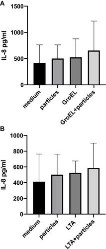 Figure 3 (A and B) polymorphonuclear neutrophils (PMN) were isolated from the peripheral blood of healthy donors. Release of the pro-inflammatory cytokine IL-8 was enhanced after stimulation with metal wear particles 1x106, GroEL 0.1 μg/mL (A), LTA 0.1 μg/mL (B), and a combination of metal wear particles with either GroEL (A) or LTA (B). Mean values are shown.