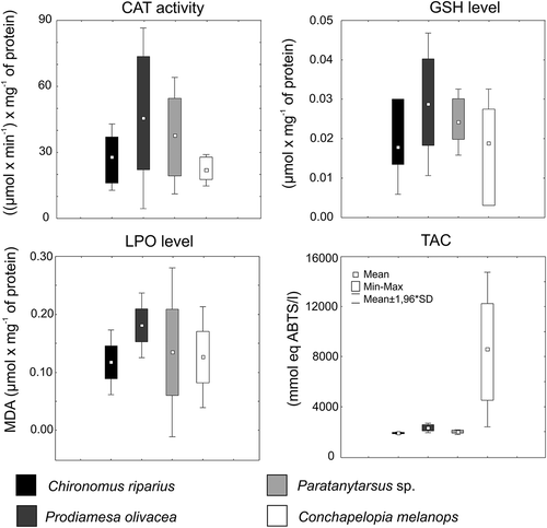 Figure 2. Catalase (CAT) activity and level of reduced glutathione (GSH), lipid peroxidation (LPO) and total antioxidant capacity (TAC) in the four studied chironomid species.