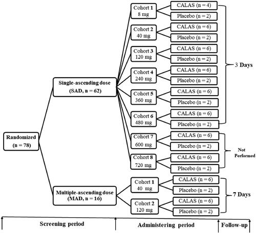 Figure 1. Study flow chart. SAD: Single ascending-dose, once daily; MAD: Multiple ascending-dose, three times daily; CALAS: Capsule of alkaloids from leaf of A. scholaris. The further tests of cohort 7 (600 mg) and 8 (720 mg) cohorts in SAD study were not conducted due to the occurrence of adverse reactions in cohort 6 (480 mg).