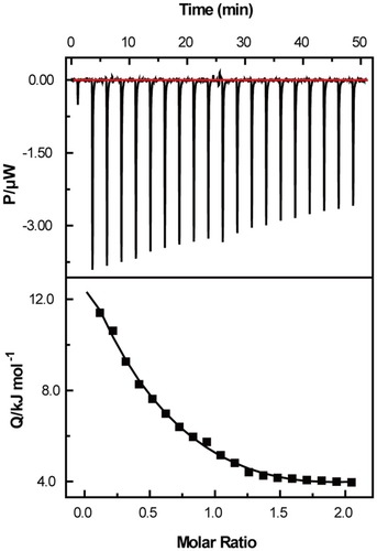 Figure 1 Isothermal titration calorimetry profiles for the binding of HCPT with Ce6 in buffer (50 mM Tris containing 20% DMF) at 298.15 K. The upper panel represents the raw data for the titration of HCPT into Ce6 solution. The bottom panel represents the integrated heat data obtained from the raw data after deducting the heat of dilution, in which the solid square and solid line panel indicate the experimental data and the best curve fitting to the experimental data, respectively.Abbreviations: HCPT, 10-hydroxycamptothecine; Ce6, Chlorin e6.