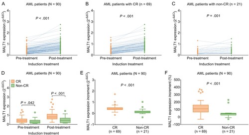 Figure 2. MALT1 was elevated during induction treatment in AML patients. Comparison of pre-treatment and post-treatment MALT1 expression in total AML patients (A); in AML patients with CR (B); in AML patients with non-CR (C). Comparison of MALT1 expressions between AML patients with CR and AML patients with non-CR (D). Comparison of MALT1 expression increment (E) and MALT1 expression increment % (F) between AML patients with CR and AML patients with non-CR.