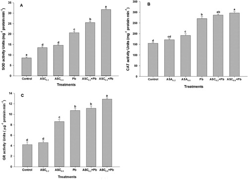 Figure 4. Effect of ASC on the activity of (A) SOD, (B) CAT and (C) GR in wheat plants under Pb-toxicity condition. Mean (±SE) was calculated from four replicates for each treatment. Bars with different letters are significantly different at P < .05, applying a Duncan Multiple Range Test.