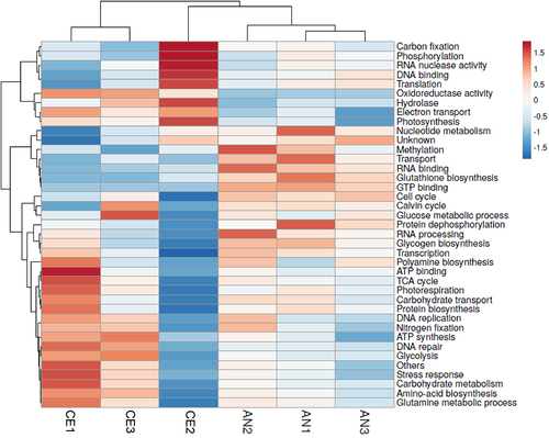 Figure 5. Heat map of N. commune proteomics showing various protein groups showing difference in protein up regulation within replicas between two geotypes. The hierarchical clustering was performed based on the Pearson’s correlation coefficients.