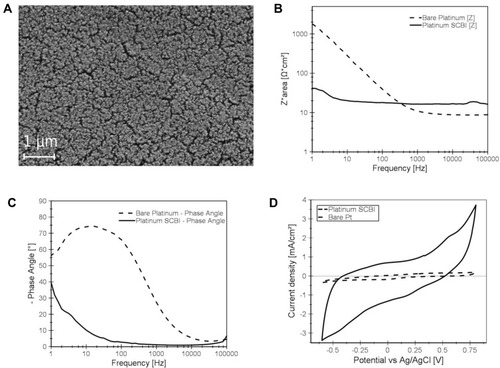 Figure 2 SCBI-based recording device features. (A) Scanning electron microscopy (SEM) image of nanostructured platinum electrode surface obtained with SCBI technique. (B-C) Electrochemical impedance spectroscopy of 4 mm2 nanostructured Pt SCBI (continuous lines) and 4 mm2 bare untreated Pt foil (dashed lines) electrodes. Impedance values (B) and angular phase (C) are illustrated as a function of the frequency. (D) Current-Voltage features of Pt SCBI and Pt foil electrodes measured at 50 mV/s.