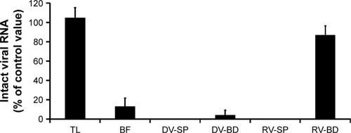 Figure 5 Quantitative analysis of the viral gene of rotavirus adsorbed onto the antibody-integrated MNBs.Notes: Rotavirus-infected cell lysate (10 µL) was diluted with PBS (500 µL) and then incubated with antibody-integrated magnetic beads. After incubation, the following fractions were obtained: 1) diluted rotavirus sample before incubation with the beads (BF), 2) bead fraction after incubation with anti-rotavirus antibody-integrated MNBs (RV-BD), 3) bead fraction after incubation with anti-dengue virus antibody-integrated MNBs (DV-BD), 4) supernatant fraction after incubation with the anti-rotavirus antibody-integrated MNBs (RV-SP), 5) supernatant fraction after incubation with the anti-dengue virus antibody-integrated MNBs (DV-SP), and 6) total sample containing the same quantity of rotavirus as in 10 µL of rotavirus-infected cell lysate (total fraction, TL). Viral genomic RNA was subsequently extracted from the above fractions using a QIAamp Viral RNA mini kit and subjected to RT-reaction. The resultant cDNA was analyzed by real-time PCR using primers for the rotavirus VP7 gene as described in Materials and methods. The value of the TL sample was taken as 100%.Abbreviations: MNBs, magnetic nanobeads; RT, reverse transcription.