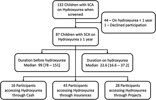 Figure 1 Enrolment flowchart of sickle cell anaemia participant on Hydroxyurea from October 2020 to April 2021.